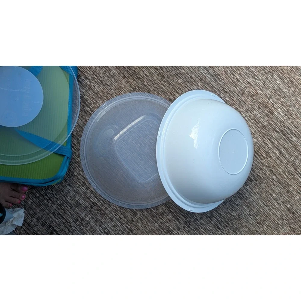 Party Peacock n'ice & cool Chilled Serving Bowl Set with Insulated Carrier Bag